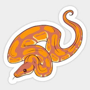 Sunset Ball Python Sticker